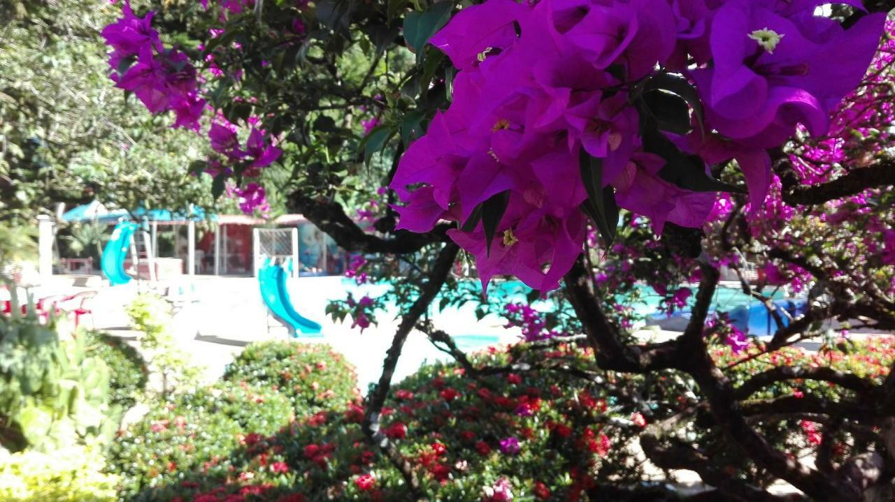 ホテル Balneario Chorillano ビリャビセンシオ エクステリア 写真